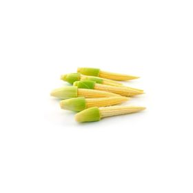 Tohhum Baby Corn Minik Bebek Mısırı Tohumu