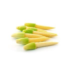 Tohhum Baby Corn Minik Bebek Mısırı Tohumu