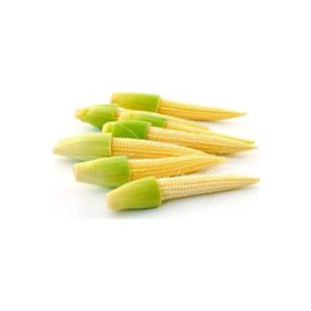 Tohhum Baby Corn Minik Bebek Mısırı Tohumu