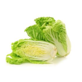 Tohhum Beyaz Çin Lahanası Tohumu