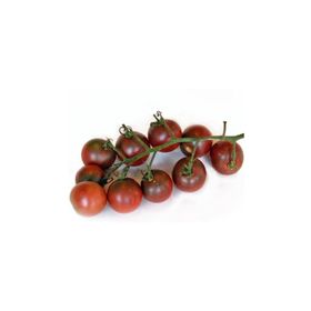 Tohhum Black Cherry Tohhum Bahçe Tohumu