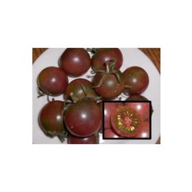 Tohhum Black Cherry Tohhum Bahçe Tohumu
