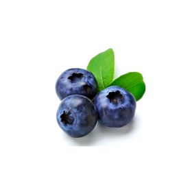 Tohhum Blueberry Yaban Mersini Tohumu