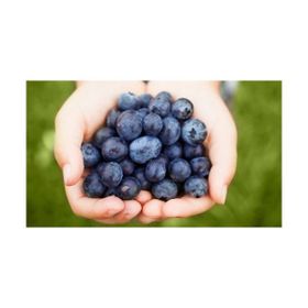 Tohhum Blueberry Yaban Mersini Tohumu