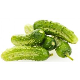 Tohhum Boston Pickling Salatalık Tohumu
