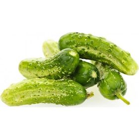 Tohhum Boston Pickling Salatalık Tohumu