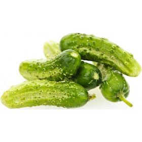 Tohhum Boston Pickling Salatalık Tohumu