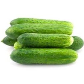 Tohhum Cüce Turşuluk Salatalık Tohhum Bahçe Tohumu