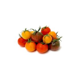 Tohhum Dört Çeşit Cherry Domates Tohumu