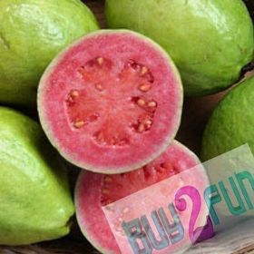 Tohhum Guava Meyvesi Tohumu