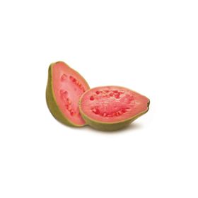 Tohhum Guava Meyvesi Tohumu