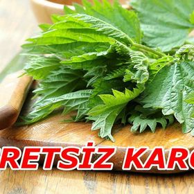 Tohhum Isırgan Otu Tohumu Urtica Dioica Tohumu