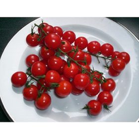 Tohhum İtalyan Cherry Domates Tohumu