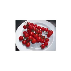 Tohhum İtalyan Cherry Domates Tohumu