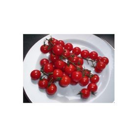 Tohhum İtalyan Cherry Domates Tohumu
