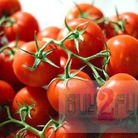 Tohhum İtalyan Cherry Domates Tohumu