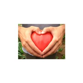 Tohhum Kalp Domates Oxheart Heırloom Tohumu