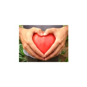 Tohhum Kalp Domates Oxheart Heırloom Tohumu