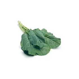 Tohhum Karadeniz Kara Lahana Tohumu
