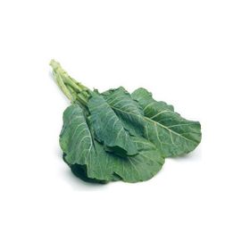 Tohhum Karadeniz Kara Lahana Tohumu
