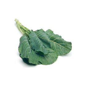 Tohhum Karadeniz Kara Lahana Tohumu