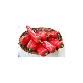 Tohhum Kırmızı Kapya Biber Tohumu