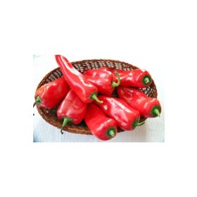 Tohhum Kırmızı Kapya Biber Tohumu