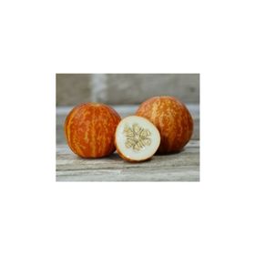 Tohhum Kokulu Süs Kavunu Tiger Melon Tohumu