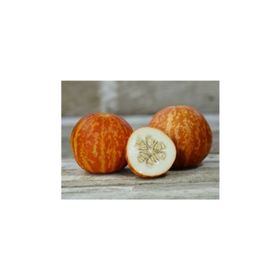 Tohhum Kokulu Süs Kavunu Tiger Melon Tohumu
