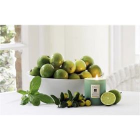 Tohhum Limon Aromalı Fesleğen Tohumu