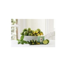 Tohhum Limon Aromalı Fesleğen Tohumu