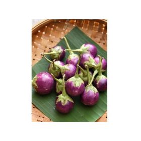 Tohhum Mini Mor Alacalı Patlıcan Tohumu
