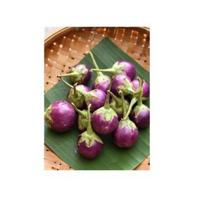 Tohhum Mini Mor Alacalı Patlıcan Tohumu