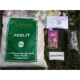 Tohhum Perlit Tohumu