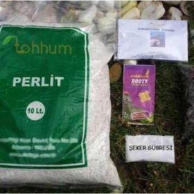 Tohhum Perlit Tohumu