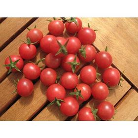Tohhum Rose Quartz Multiflora Pembe Cherry Domates Tohumu