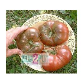 Tohhum Russian Domates Tohumu