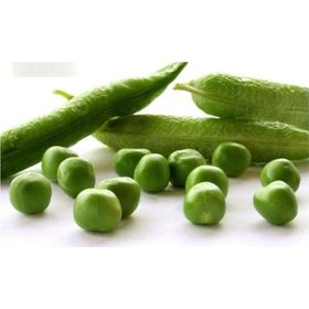 Tohhum Saksılık Bezelye Tohumu