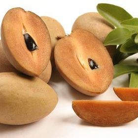 Tohhum Sapodilla Meyvesi Tohumu
