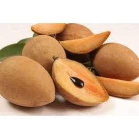 Tohhum Sapodilla Meyvesi Tohumu