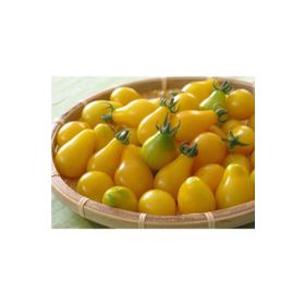 Tohhum Sarı Ampul Cherry Domates Tohumu