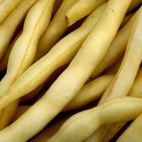 Tohhum Sarı Fasulye Golden Bean Tohumu