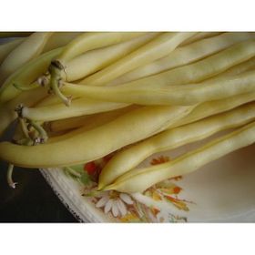 Tohhum Sarı Fasulye Golden Bean Tohumu