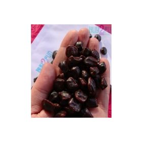 Tohhum Tamarind Demirhindi Tohumu