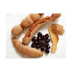 Tohhum Tamarind Demirhindi Tohumu