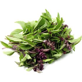Tohhum Tarçın Aromalı Fesleğen Tohumu