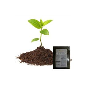 Tohhum Torf Perlit Karışımı
