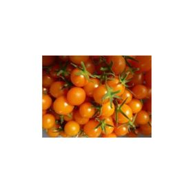 Tohhum Turuncu Cherry Domates Tohhum Bahçe Tohumu