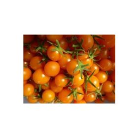 Tohhum Turuncu Cherry Domates Tohhum Bahçe Tohumu