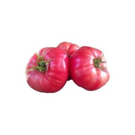 Tohumcumm 10 Adet Tohum Nadir İri Pembe Domates Tohumu